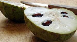 Аннона Черімойя (Annona cherimola) Sugar Apple