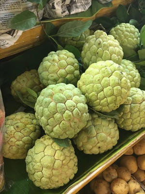 Annona squamosa (аннона луската)